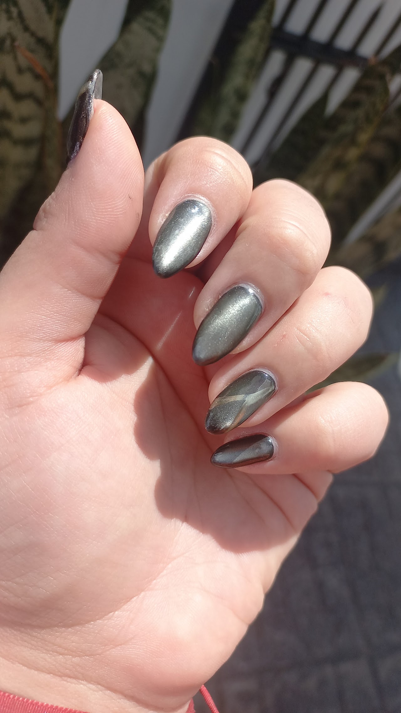 Francesita Moderna Champagne